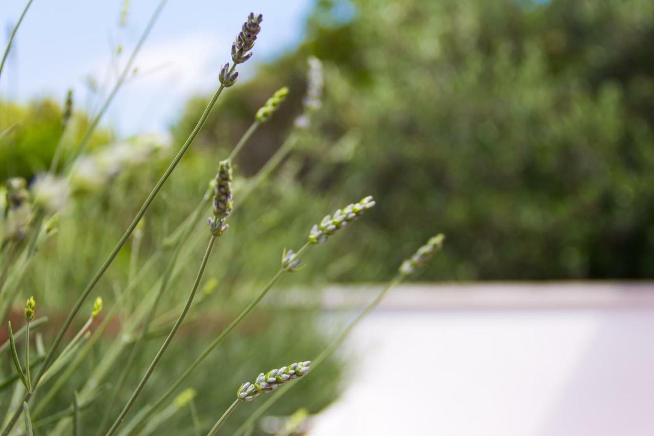 Holiday Home Laurea Supetar Exterior foto